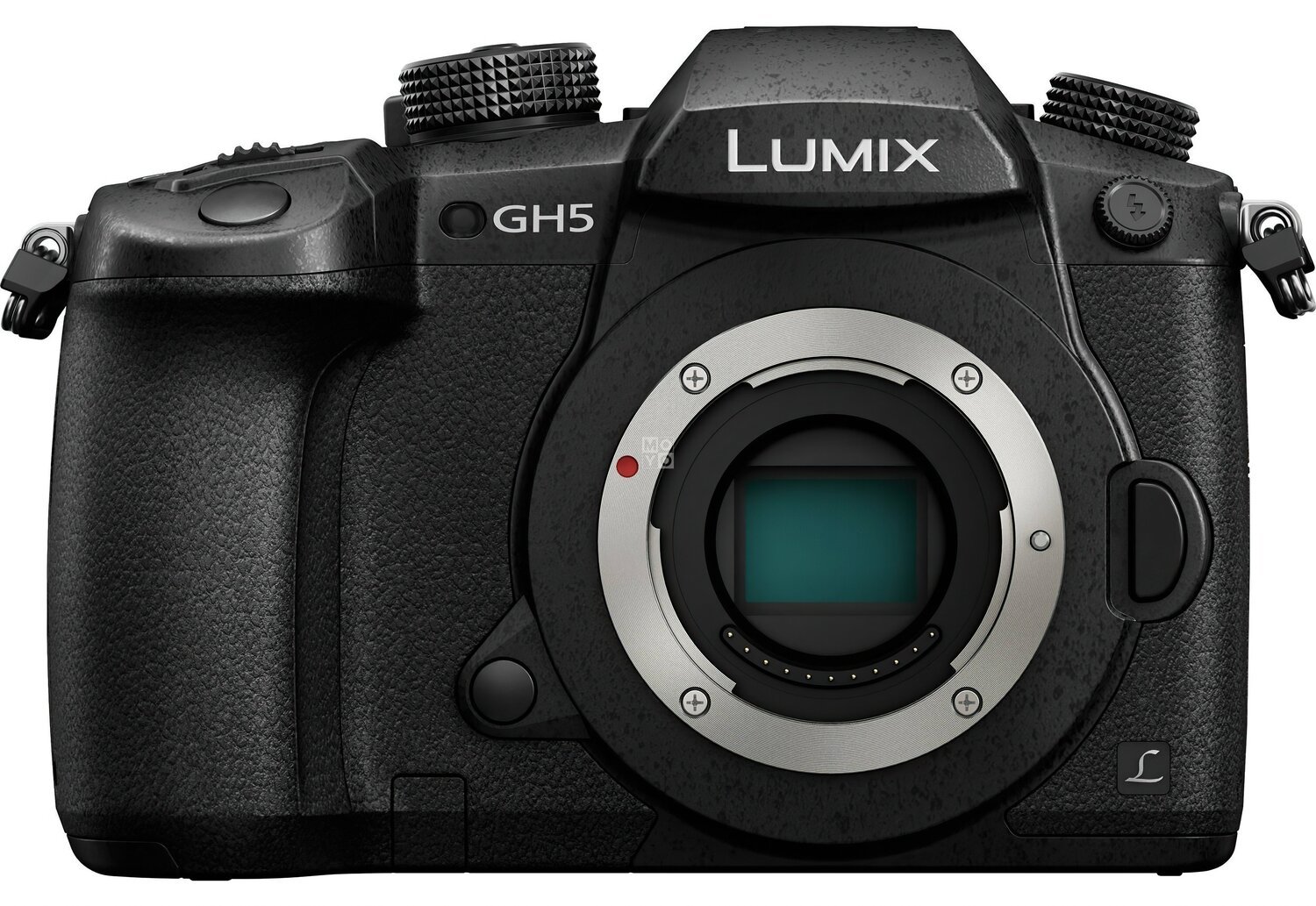 Фотоаппарат Panasonic Lumix GH5 Body, черный