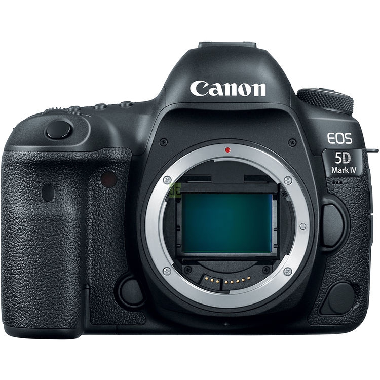 Canon EOS 5D Mark IV body (РСТ)